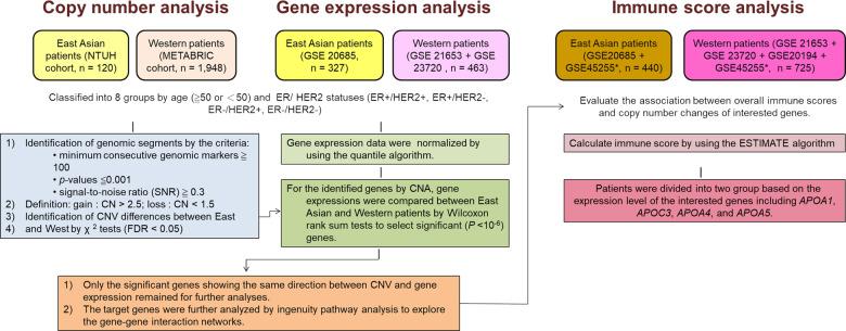 https://cdn.ncbi.nlm.nih.gov/pmc/blobs/4a27/8257799/e78182c5fc2a/41523_2021_299_Fig1_HTML.jpg