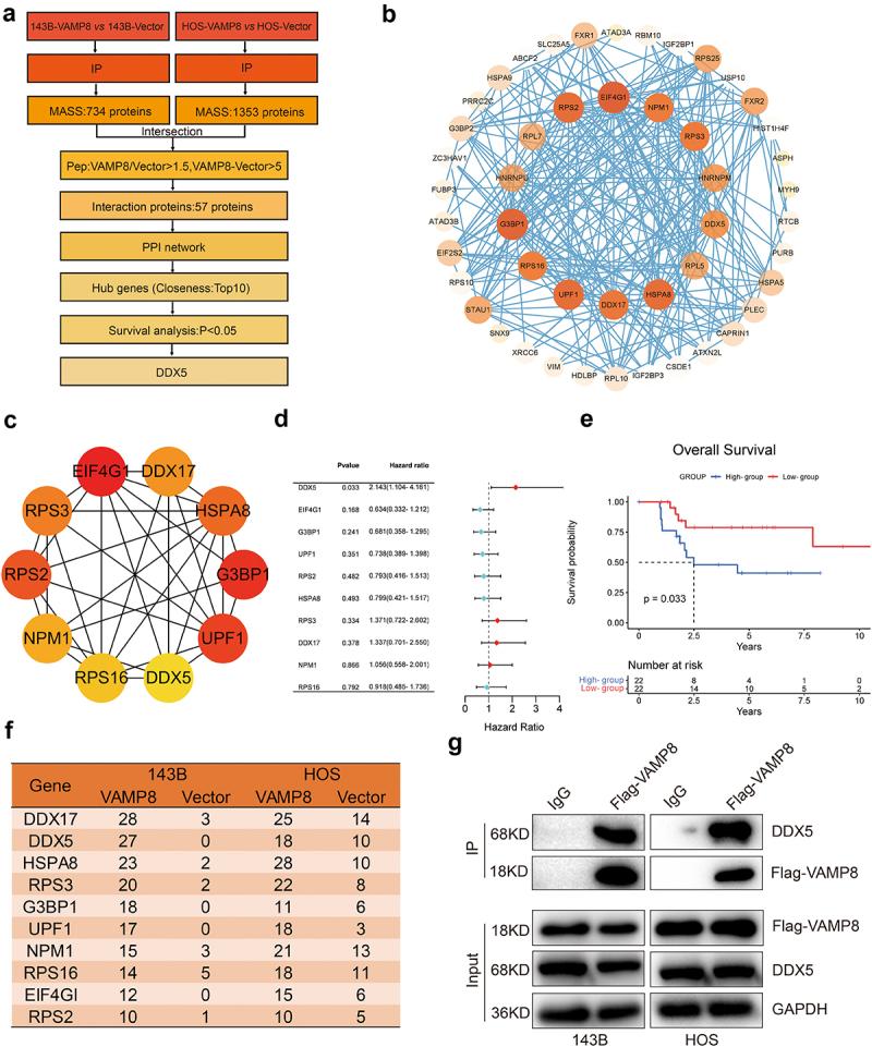 https://cdn.ncbi.nlm.nih.gov/pmc/blobs/4a28/10324439/53ebfa6e7f6c/KCBT_A_2230641_F0003_OC.jpg