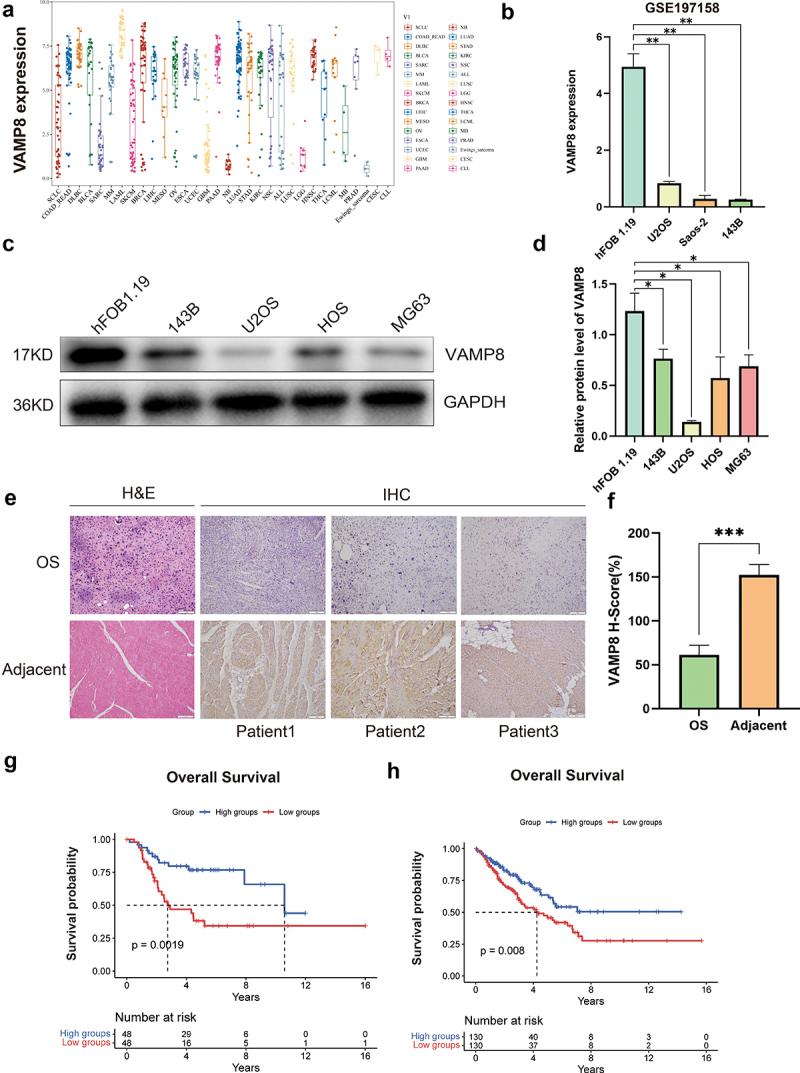 https://cdn.ncbi.nlm.nih.gov/pmc/blobs/4a28/10324439/91ab31fb245e/KCBT_A_2230641_F0001_OC.jpg