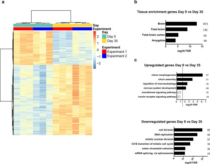 https://cdn.ncbi.nlm.nih.gov/pmc/blobs/4a28/7320047/2692bac0d4f7/12035_2020_1905_Fig2_HTML.jpg