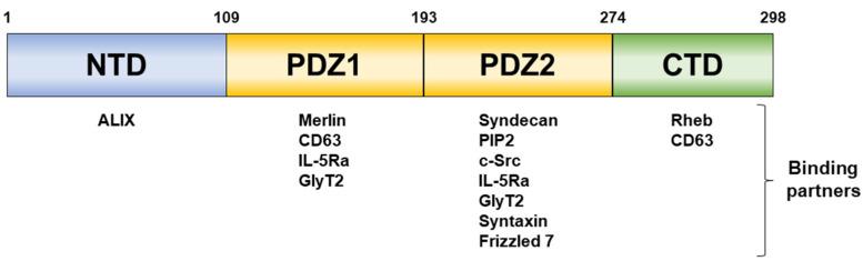 https://cdn.ncbi.nlm.nih.gov/pmc/blobs/4a29/10253468/1f8e51240b6e/ijms-24-09418-g001.jpg