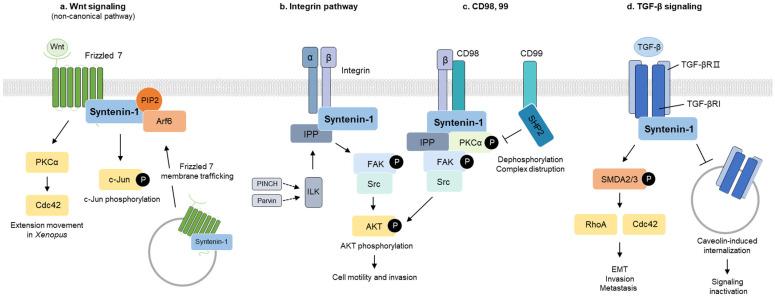 https://cdn.ncbi.nlm.nih.gov/pmc/blobs/4a29/10253468/e5f6cbd923cc/ijms-24-09418-g003.jpg