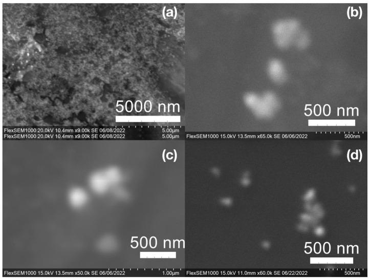 https://cdn.ncbi.nlm.nih.gov/pmc/blobs/4a29/9413573/08adf3422c8f/molecules-27-05124-g008.jpg