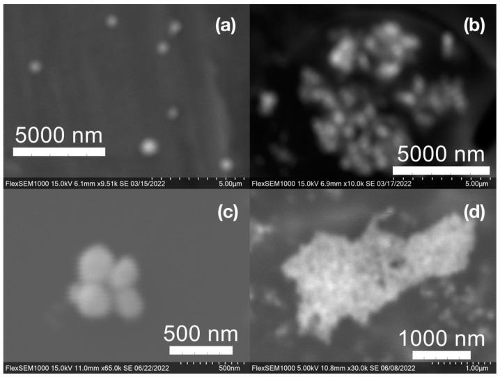 https://cdn.ncbi.nlm.nih.gov/pmc/blobs/4a29/9413573/46102e3e17f9/molecules-27-05124-g009.jpg