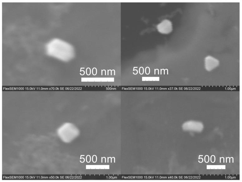 https://cdn.ncbi.nlm.nih.gov/pmc/blobs/4a29/9413573/8fa3c88af4dd/molecules-27-05124-g012.jpg