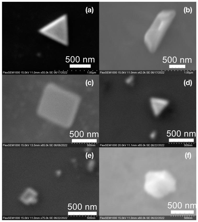 https://cdn.ncbi.nlm.nih.gov/pmc/blobs/4a29/9413573/aca9bab1b579/molecules-27-05124-g011.jpg