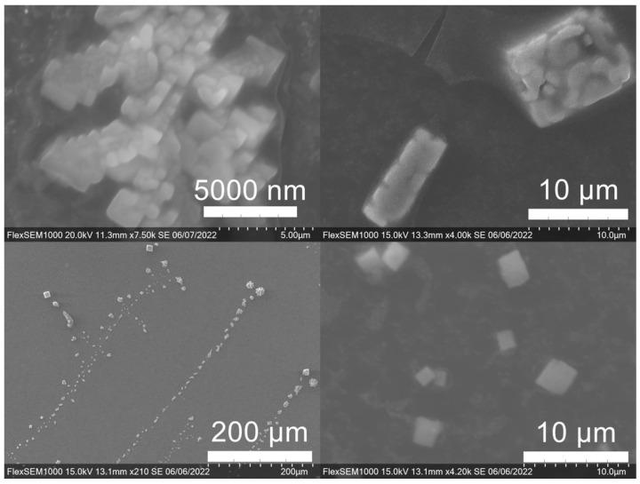 https://cdn.ncbi.nlm.nih.gov/pmc/blobs/4a29/9413573/b3312076a1fe/molecules-27-05124-g010.jpg