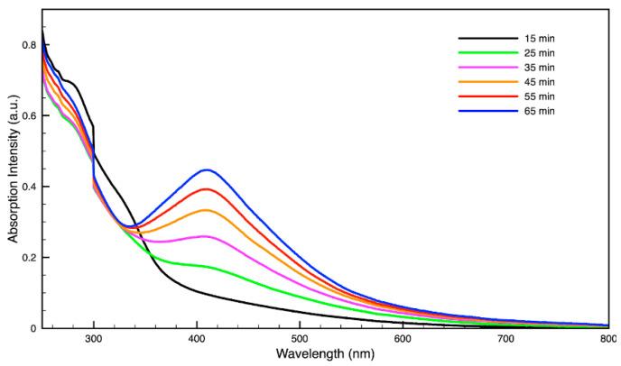 https://cdn.ncbi.nlm.nih.gov/pmc/blobs/4a29/9413573/e12f5a1dbe24/molecules-27-05124-g006.jpg