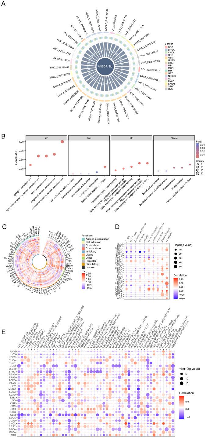 https://cdn.ncbi.nlm.nih.gov/pmc/blobs/4a2a/12325192/11ca1b211e9f/fimmu-16-1611890-g003.jpg