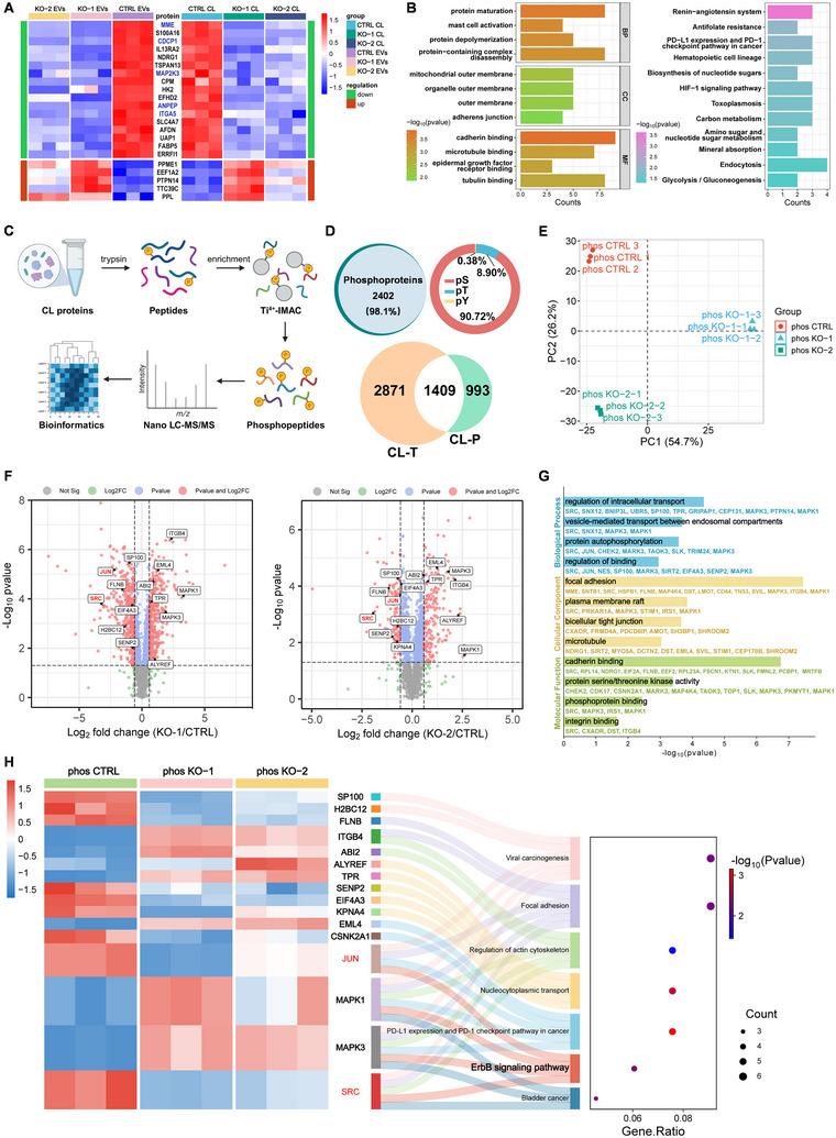 https://cdn.ncbi.nlm.nih.gov/pmc/blobs/4a2c/12281461/fad81671ea23/JEV2-14-e70128-g008.jpg