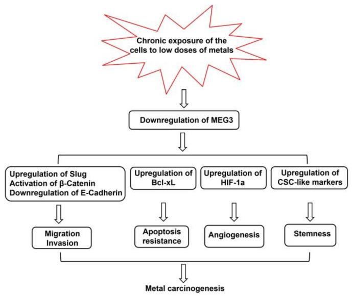 https://cdn.ncbi.nlm.nih.gov/pmc/blobs/4a2c/9962265/aa07846b8987/toxics-11-00157-g001.jpg