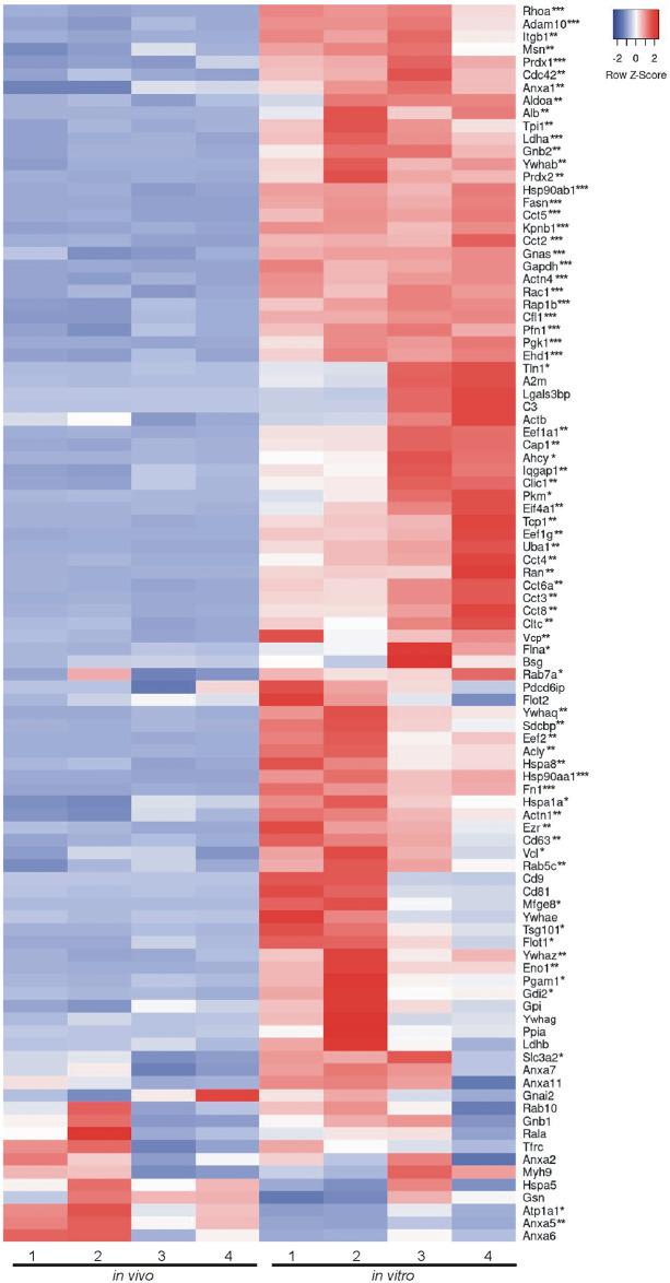 https://cdn.ncbi.nlm.nih.gov/pmc/blobs/4a2d/11556680/a5924e678a34/pone.0309716.g009.jpg