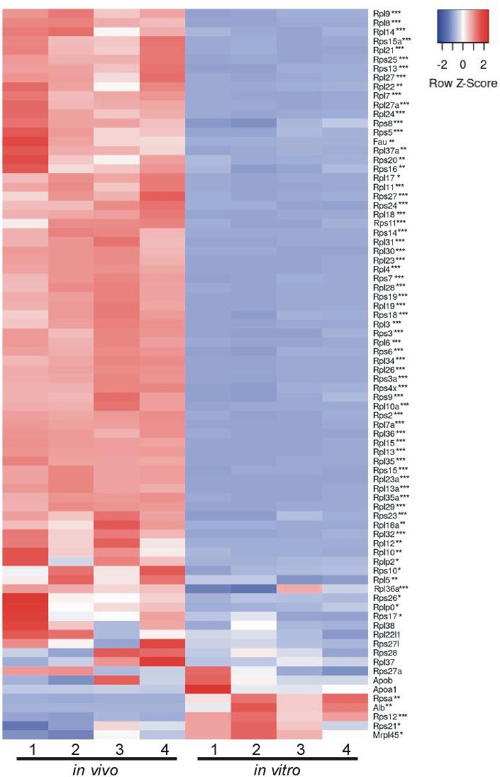 https://cdn.ncbi.nlm.nih.gov/pmc/blobs/4a2d/11556680/f4d87c20f0de/pone.0309716.g006.jpg