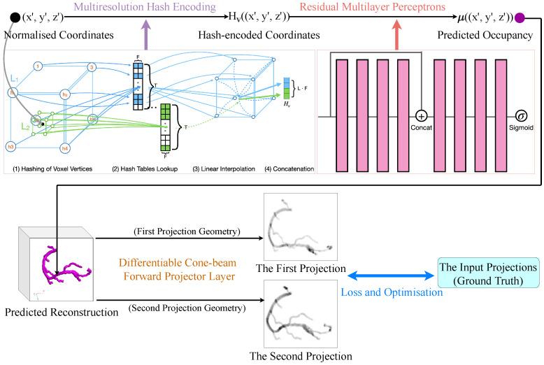 https://cdn.ncbi.nlm.nih.gov/pmc/blobs/4a2d/11673243/de1bc1c07cf5/bioengineering-11-01227-g002.jpg