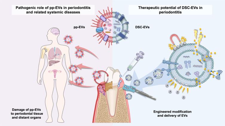 https://cdn.ncbi.nlm.nih.gov/pmc/blobs/4a2d/11786598/e53addafca39/JIR-18-1317-g0001.jpg