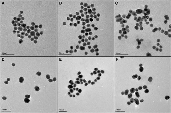 https://cdn.ncbi.nlm.nih.gov/pmc/blobs/4a2d/3853235/ca84ef9590d2/1743-8977-10-50-2.jpg