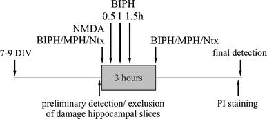 https://cdn.ncbi.nlm.nih.gov/pmc/blobs/4a35/3183243/646fd00bfdf2/11064_2011_568_Fig1_HTML.jpg