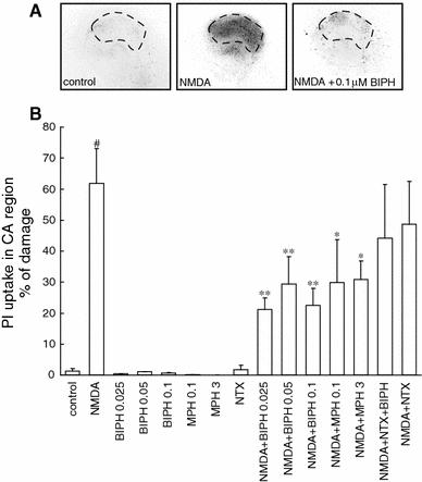 https://cdn.ncbi.nlm.nih.gov/pmc/blobs/4a35/3183243/fa566865c350/11064_2011_568_Fig2_HTML.jpg