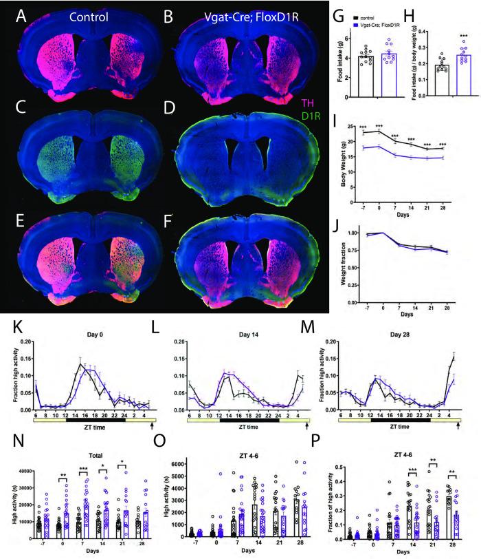 https://cdn.ncbi.nlm.nih.gov/pmc/blobs/4a35/7869994/5835d9b98212/pone.0242897.g001.jpg