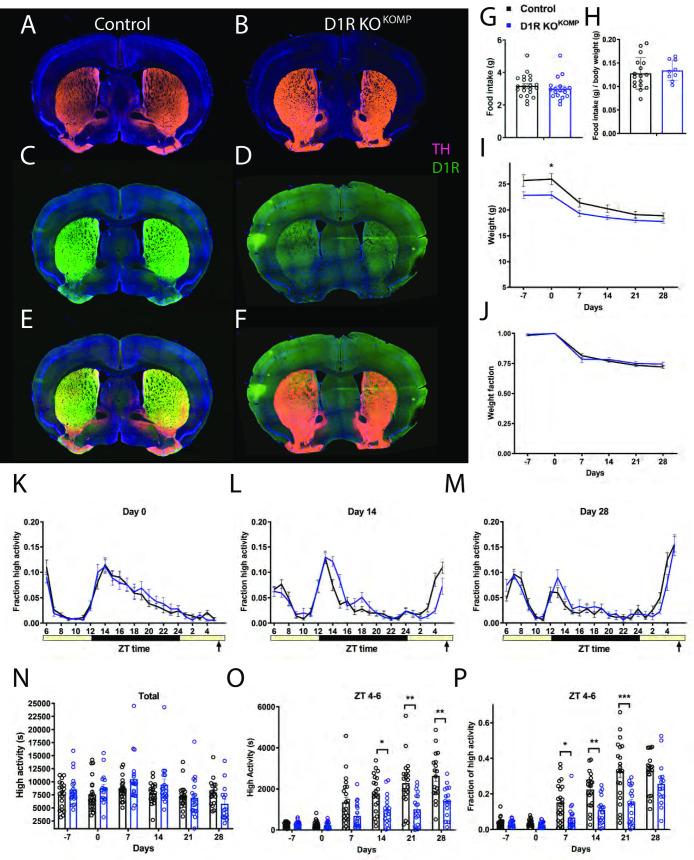 https://cdn.ncbi.nlm.nih.gov/pmc/blobs/4a35/7869994/87d8440c0d12/pone.0242897.g004.jpg