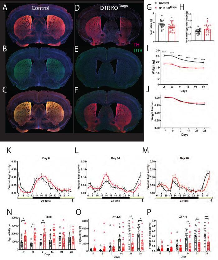 https://cdn.ncbi.nlm.nih.gov/pmc/blobs/4a35/7869994/beb2491a5bb2/pone.0242897.g002.jpg