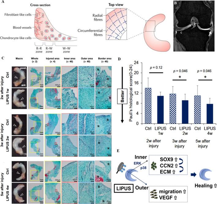 https://cdn.ncbi.nlm.nih.gov/pmc/blobs/4a36/12087415/52554264edf3/SMMD-4-e70003-g008.jpg