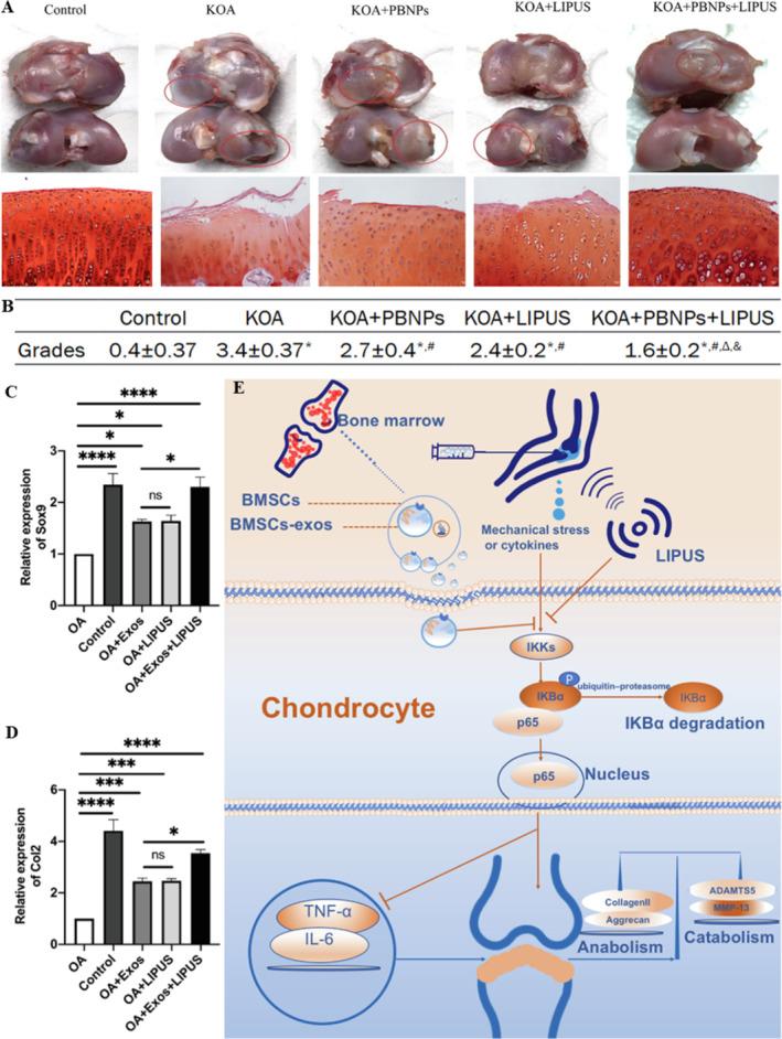 https://cdn.ncbi.nlm.nih.gov/pmc/blobs/4a36/12087415/a257cb61cd4b/SMMD-4-e70003-g007.jpg