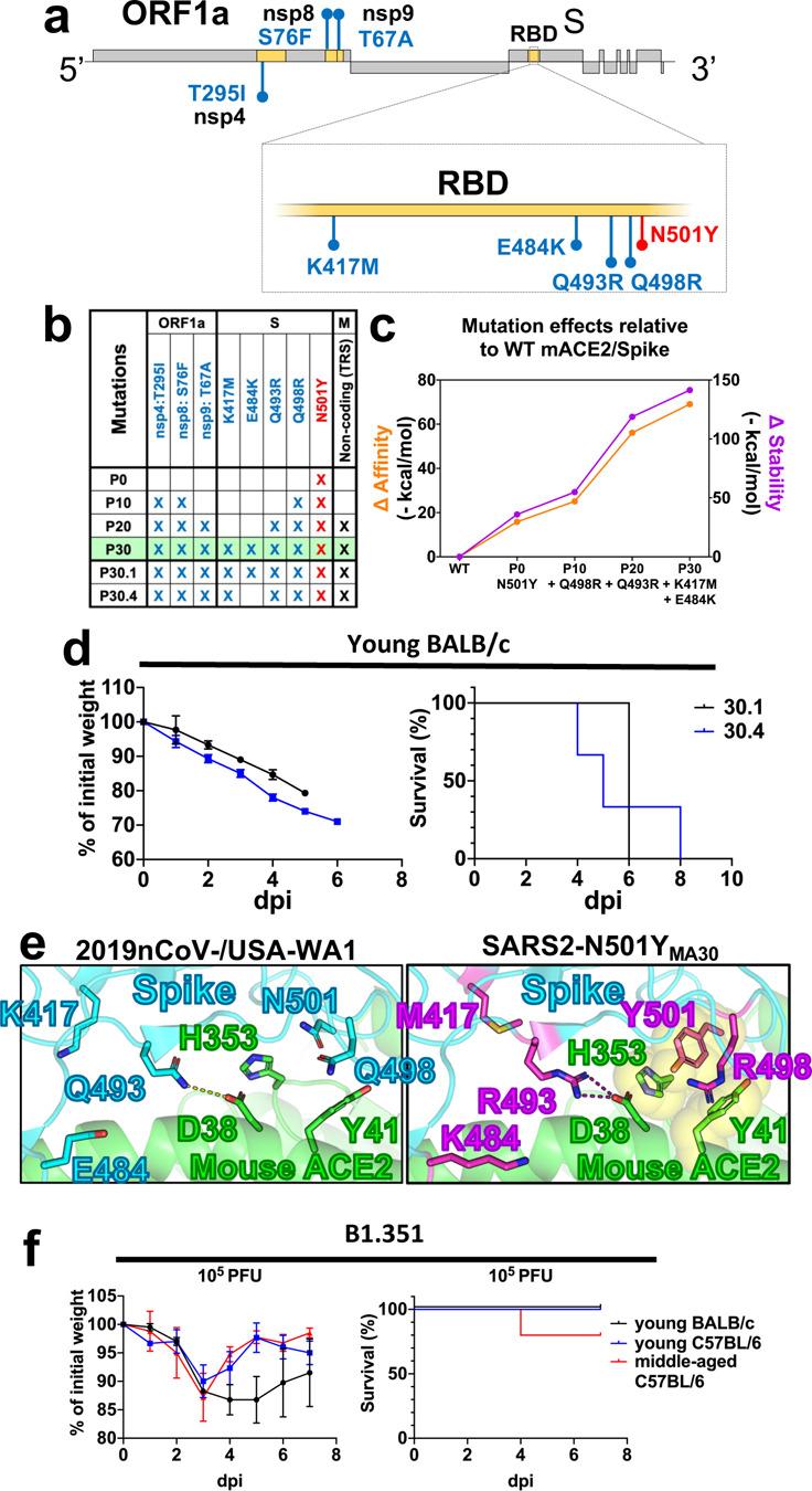 https://cdn.ncbi.nlm.nih.gov/pmc/blobs/4a37/8077574/30571be79604/nihpp-2021.04.20.440676-f0002.jpg