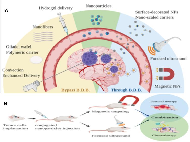 https://cdn.ncbi.nlm.nih.gov/pmc/blobs/4a38/8275179/d0803c0eb6ca/IJN-16-4597-g0003.jpg