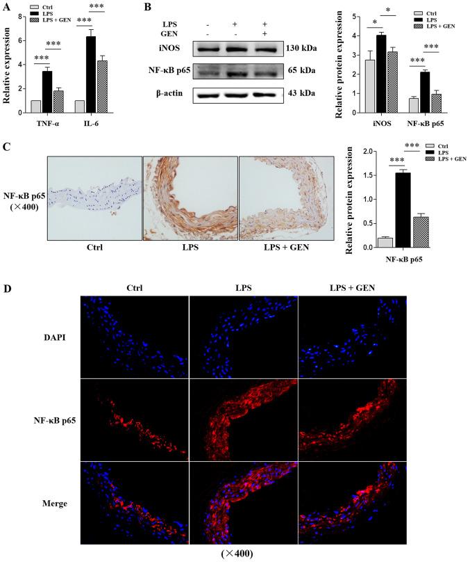 https://cdn.ncbi.nlm.nih.gov/pmc/blobs/4a3c/7809901/8e6955d363cf/mmr-23-03-11831-g01.jpg