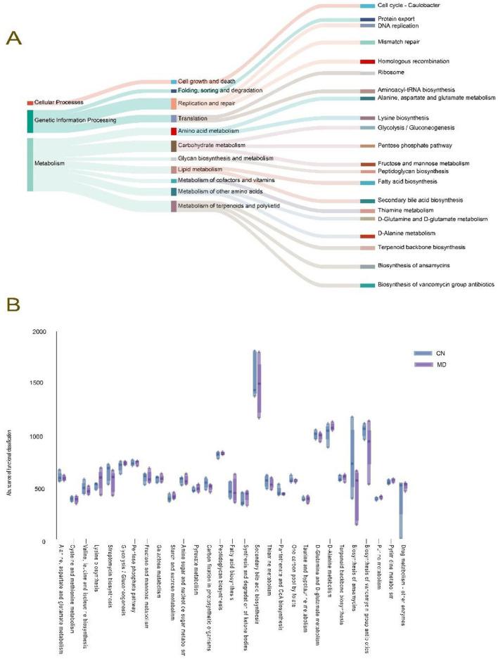 https://cdn.ncbi.nlm.nih.gov/pmc/blobs/4a3e/12378460/aa194c1e8240/fmicb-16-1595418-g0008.jpg