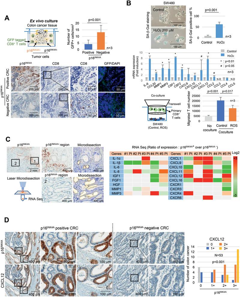 https://cdn.ncbi.nlm.nih.gov/pmc/blobs/4a3e/7887594/05d1544a4740/ADVS-8-2002497-g002.jpg
