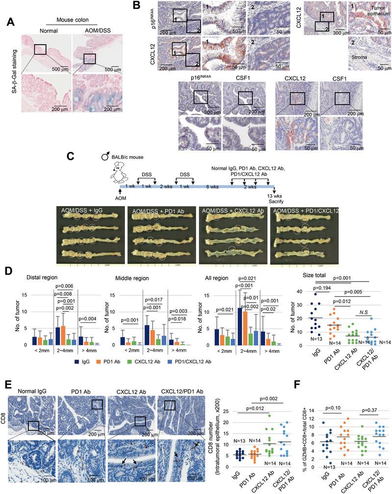 https://cdn.ncbi.nlm.nih.gov/pmc/blobs/4a3e/7887594/1ece441b9baf/ADVS-8-2002497-g007.jpg