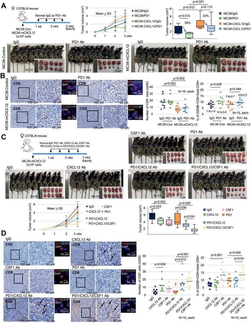 https://cdn.ncbi.nlm.nih.gov/pmc/blobs/4a3e/7887594/4beed8d3a683/ADVS-8-2002497-g006.jpg