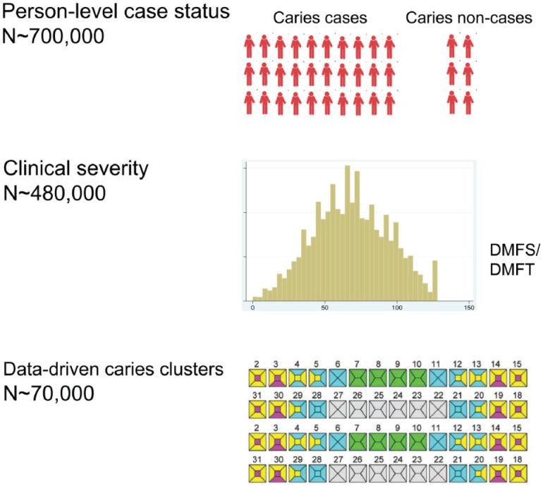 https://cdn.ncbi.nlm.nih.gov/pmc/blobs/4a3f/9516631/c6fae2edca09/10.1177_00220345221109775-fig1.jpg