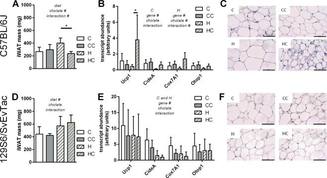 https://cdn.ncbi.nlm.nih.gov/pmc/blobs/4a42/6333827/351632507a4a/41598_2018_37464_Fig3_HTML.jpg