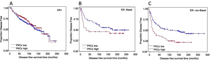 https://cdn.ncbi.nlm.nih.gov/pmc/blobs/4a42/6349319/8c955035ce42/gr12.jpg
