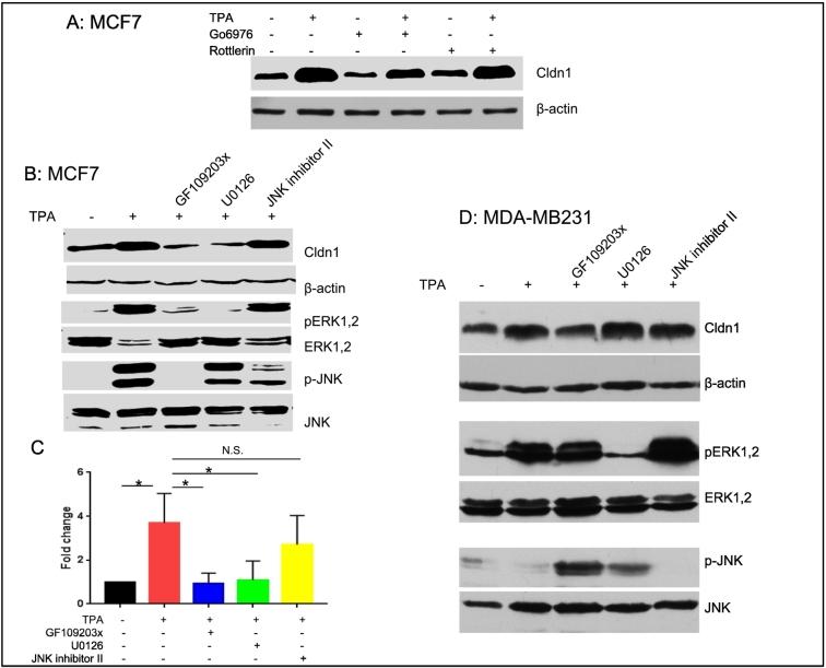 https://cdn.ncbi.nlm.nih.gov/pmc/blobs/4a42/6349319/9b5aeb17481b/gr9.jpg