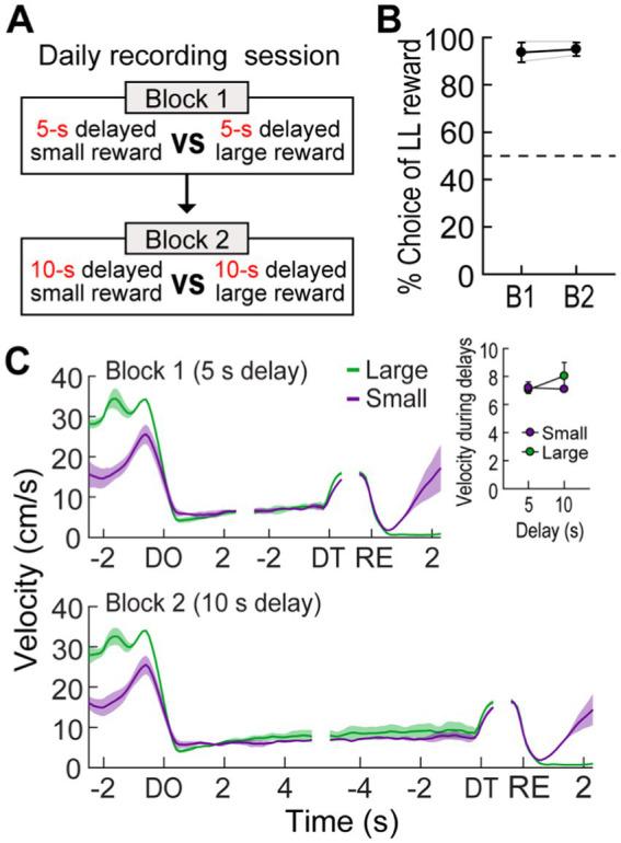 https://cdn.ncbi.nlm.nih.gov/pmc/blobs/4a44/11652490/febfa95b22c5/fnsys-18-1481585-g005.jpg