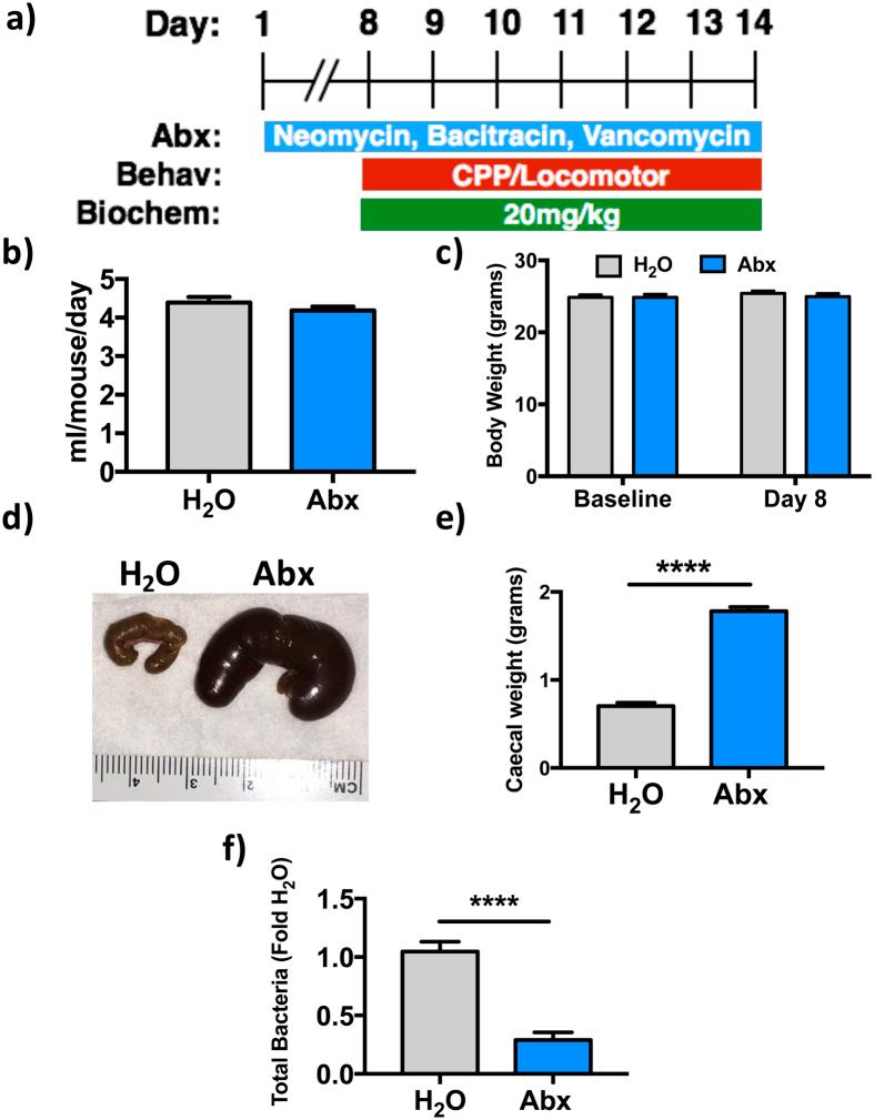 https://cdn.ncbi.nlm.nih.gov/pmc/blobs/4a44/5067576/84c41084eb5d/srep35455-f1.jpg