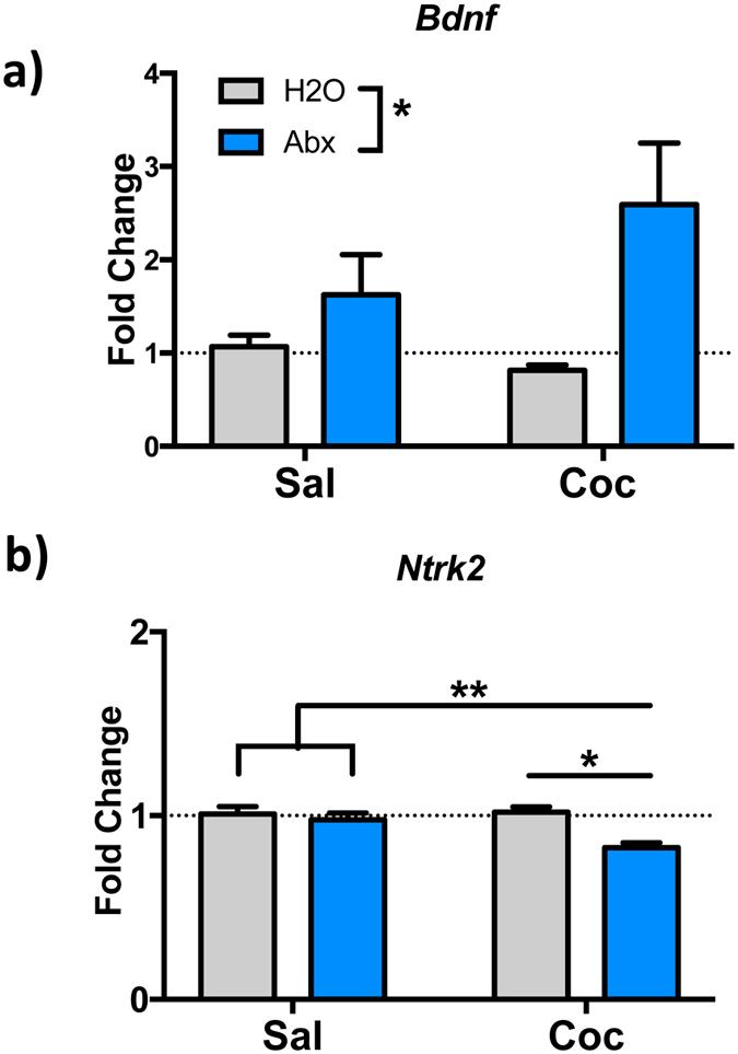 https://cdn.ncbi.nlm.nih.gov/pmc/blobs/4a44/5067576/9377a42f6160/srep35455-f6.jpg