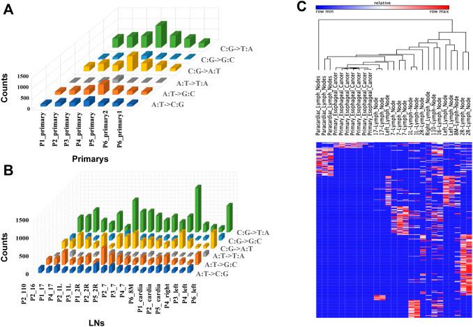 https://cdn.ncbi.nlm.nih.gov/pmc/blobs/4a45/8986126/80f98f498491/fgene-13-830601-g002.jpg