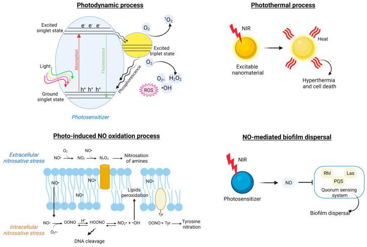 https://cdn.ncbi.nlm.nih.gov/pmc/blobs/4a46/10457815/5301febc9f59/pharmaceutics-15-02106-g007.jpg