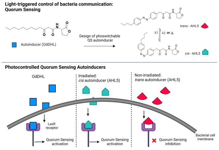 https://cdn.ncbi.nlm.nih.gov/pmc/blobs/4a46/10457815/7a94b90eafaa/pharmaceutics-15-02106-g004.jpg