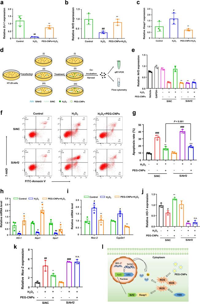 https://cdn.ncbi.nlm.nih.gov/pmc/blobs/4a47/10375752/0a4027df9326/40824_2023_412_Fig4_HTML.jpg