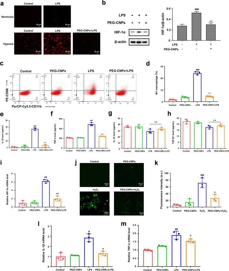 https://cdn.ncbi.nlm.nih.gov/pmc/blobs/4a47/10375752/4387bf318d85/40824_2023_412_Fig5_HTML.jpg