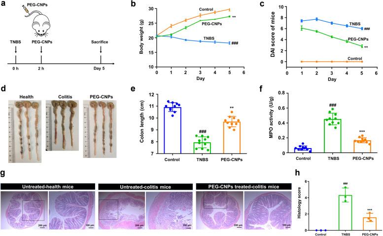 https://cdn.ncbi.nlm.nih.gov/pmc/blobs/4a47/10375752/76e75bdc35ab/40824_2023_412_Fig2_HTML.jpg