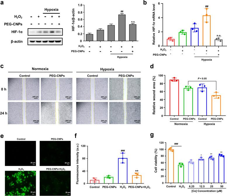 https://cdn.ncbi.nlm.nih.gov/pmc/blobs/4a47/10375752/aaea9cc6724c/40824_2023_412_Fig3_HTML.jpg