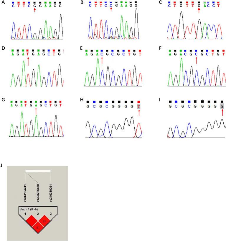 https://cdn.ncbi.nlm.nih.gov/pmc/blobs/4a47/12116668/8add58cfcf07/fvets-12-1576566-g004.jpg