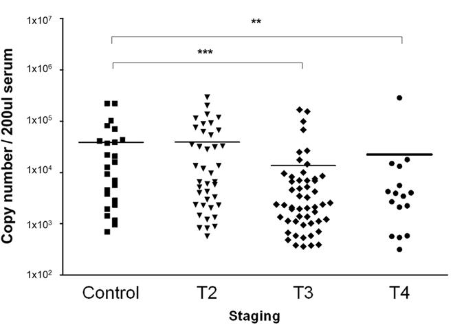 https://cdn.ncbi.nlm.nih.gov/pmc/blobs/4a47/5607379/0a4b0a12957e/41598_2017_10695_Fig2_HTML.jpg
